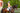 Person riding a brown horse in an outdoor equestrian setting